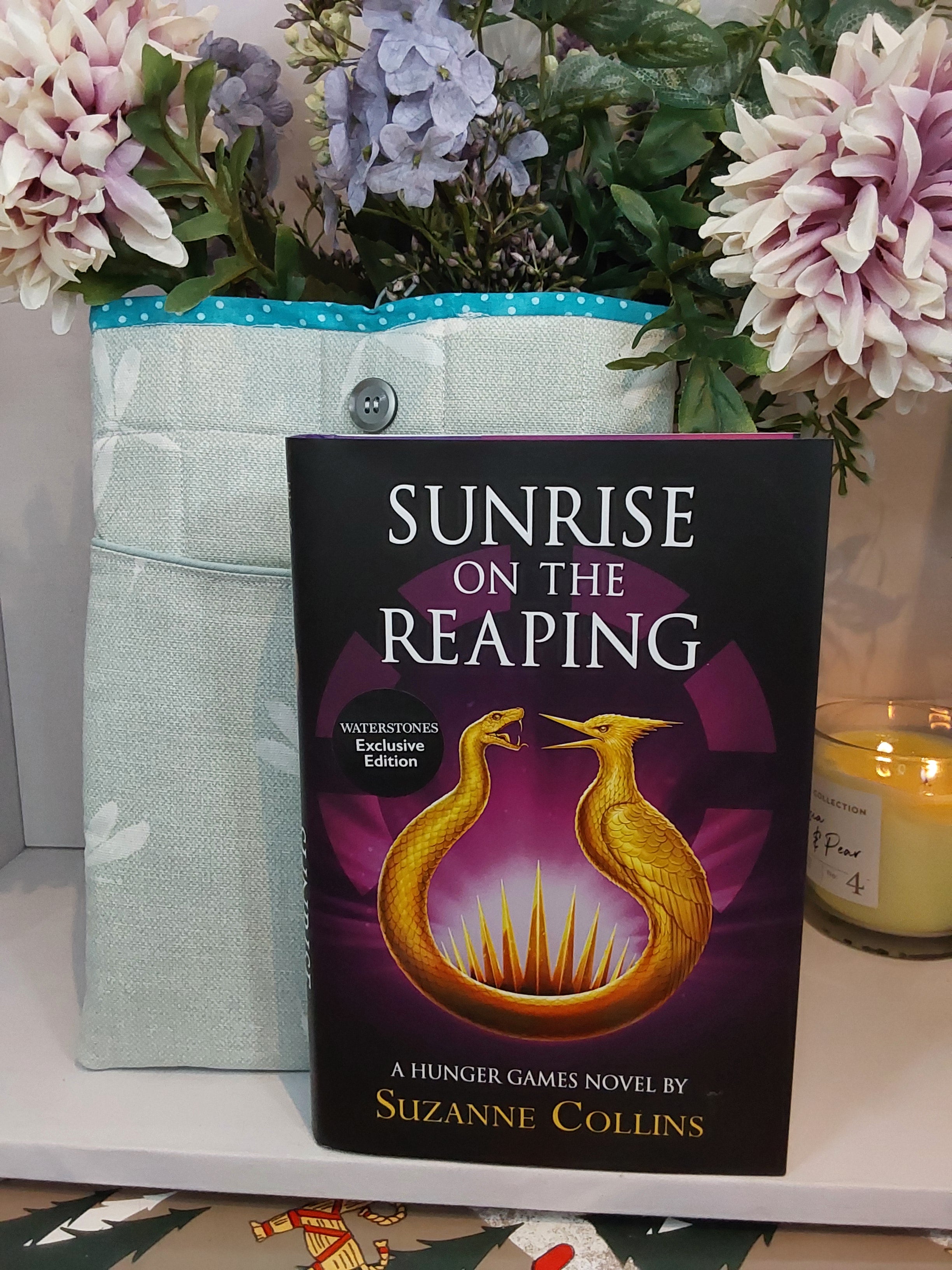 Handmade Padded iPad / Tablet / Book Case